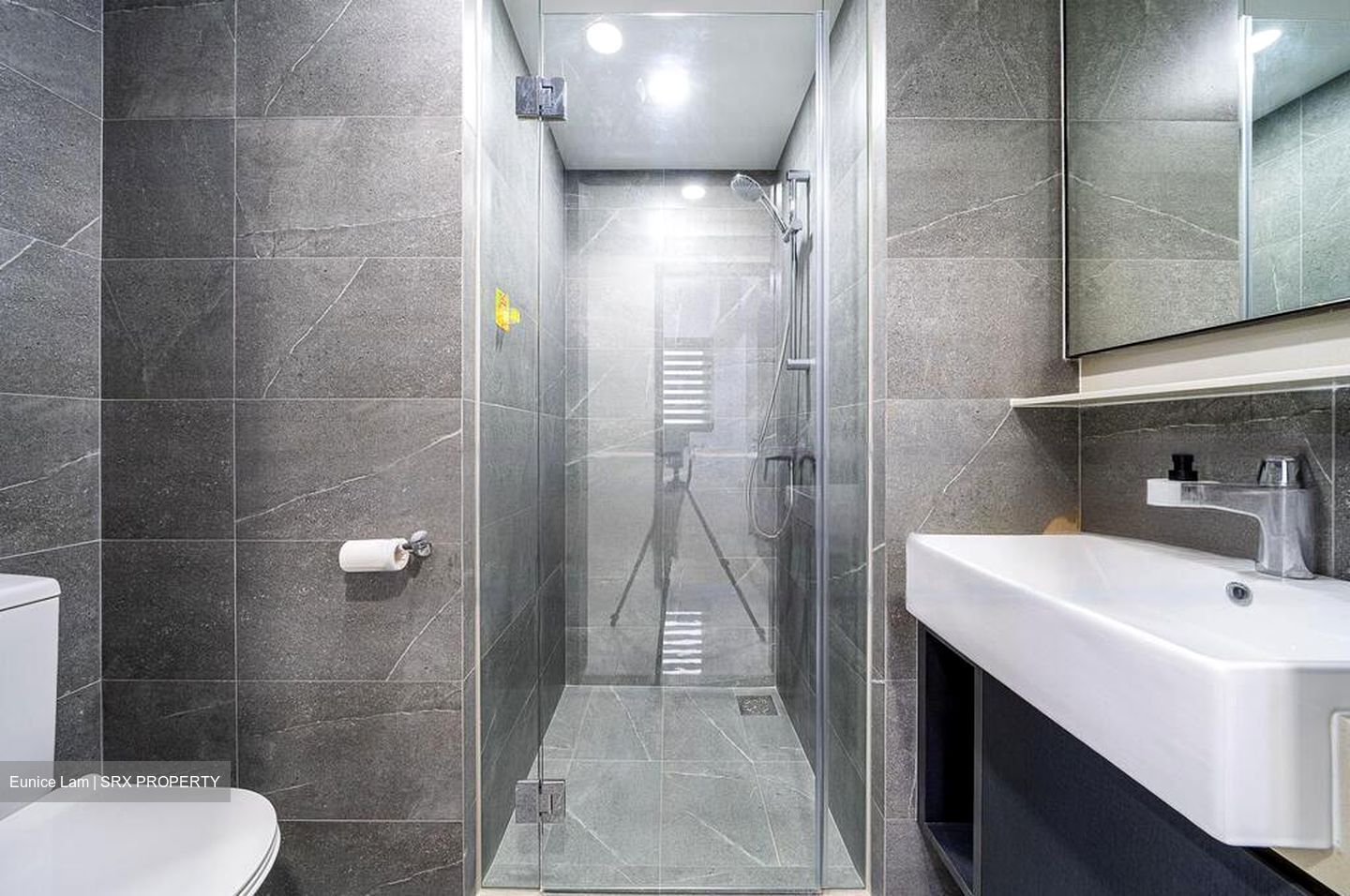 Riverfront Residences (D19), Apartment #466436371